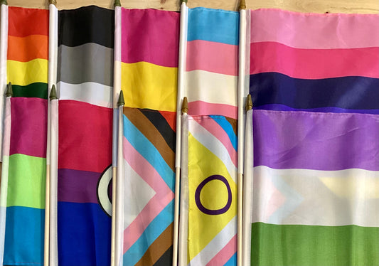 Rainbow Stick Flags 12X18